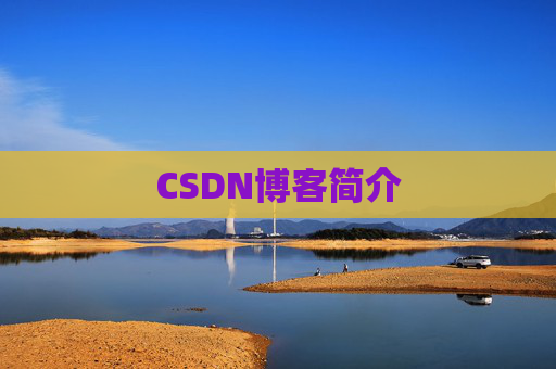 CSDN博客简介